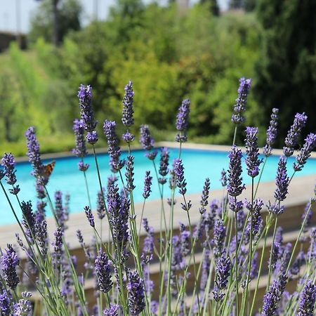 Villa Privata Per Famiglie O Amici Barberino di Val dʼElsa Exterior foto